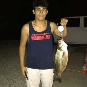 Meet your Posher, Nick